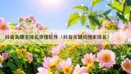 抖音关键字排名帝搜软件（抖音关键词搜索排名）