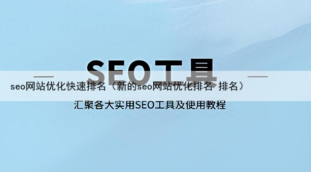seo网站优化快速排名（新的seo网站优化排名 排名）
