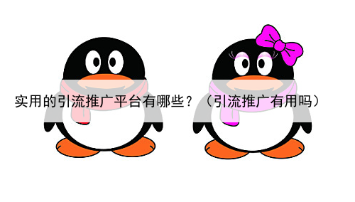 实用的引流推广平台有哪些？（引流推广有用吗）