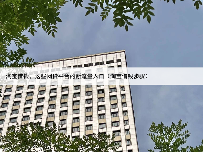 淘宝借钱，这些网贷平台的新流量入口（淘宝借钱步骤）