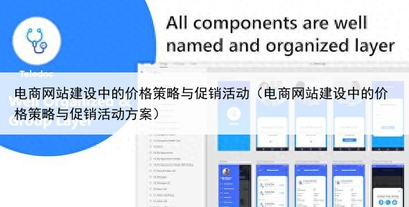 电商网站建设中的价格策略与促销活动（电商网站建设中的价格策略与促销活动方案）