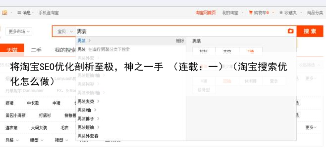 将淘宝SEO优化剖析至极,神之一手 (连载:一)(淘宝搜索优化怎么做)