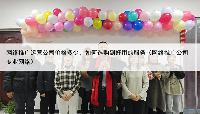 网络推广运营公司价格多少，如何选购到好用的服务（网络推广公司专业网络）