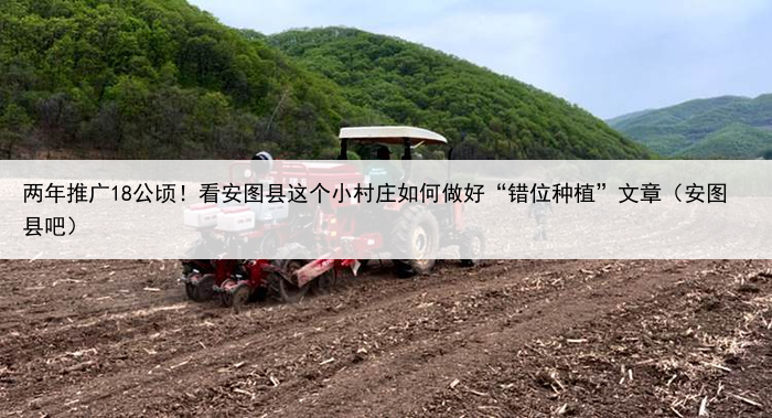 两年推广18公顷！看安图县这个小村庄如何做好“错位种植”文章（安图县吧）