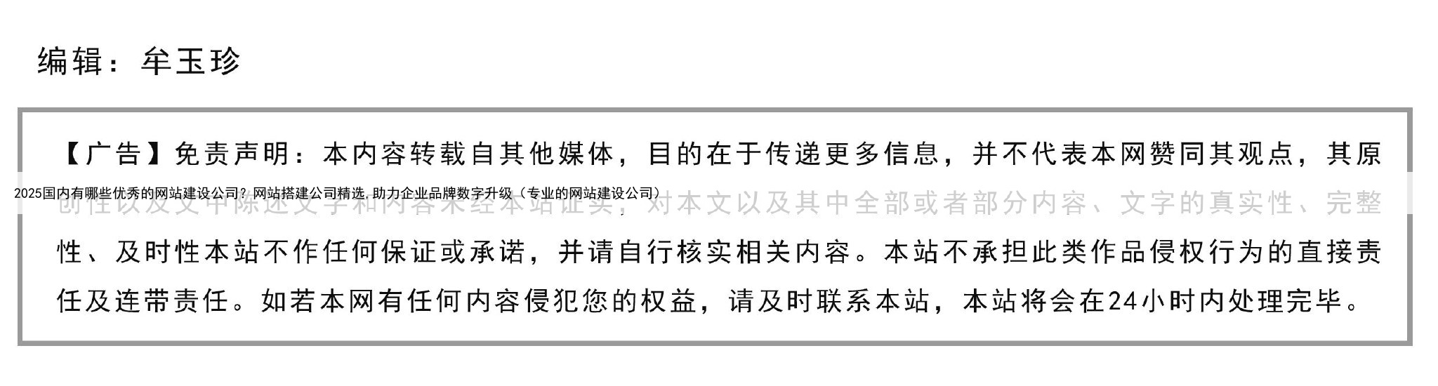 2025国内有哪些优秀的网站建设公司？网站搭建公司精选,助力企业品牌数字升级（专业的网站建设公司）