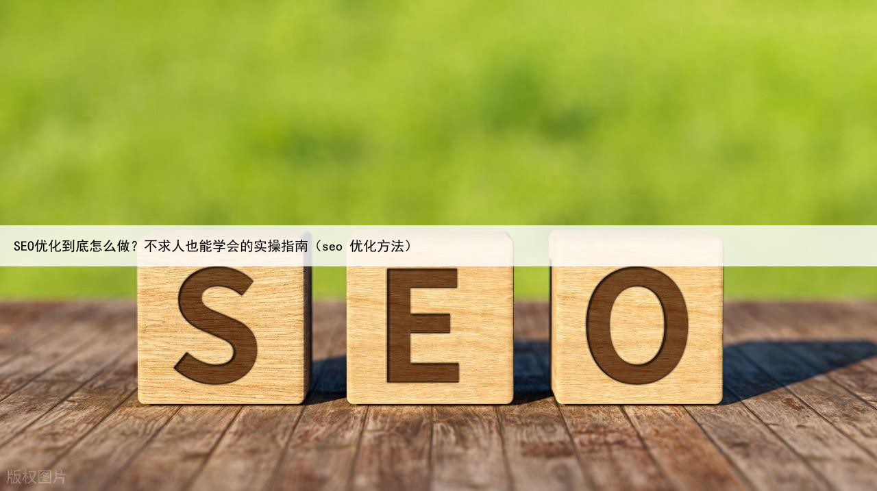 SEO优化到底怎么做?不求人也能学会的实操指南(seo 优化方法)