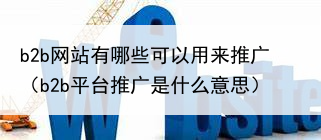 b2b网站有哪些可以用来推广(b2b平台推广是什么意思)