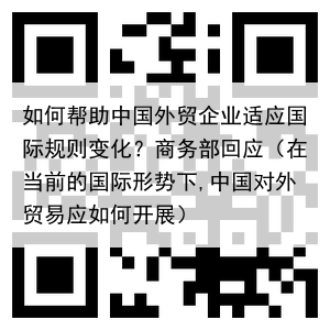 如何帮助中国外贸企业适应国际规则变化?商务部回应(在当前的国际形势下,中国对外贸易应如何开展)