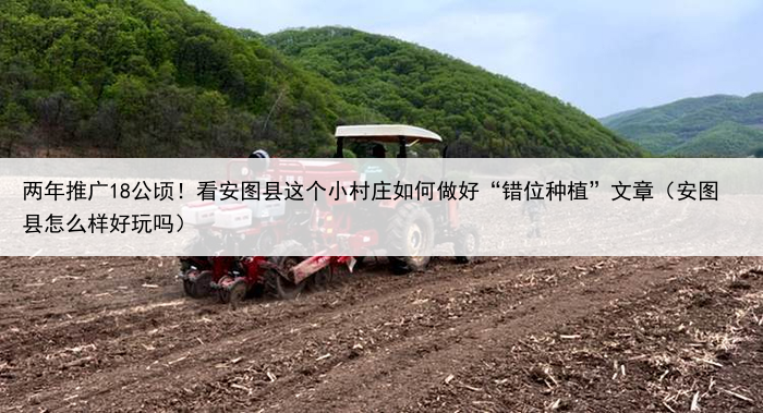 两年推广18公顷！看安图县这个小村庄如何做好“错位种植”文章（安图县怎么样好玩吗）