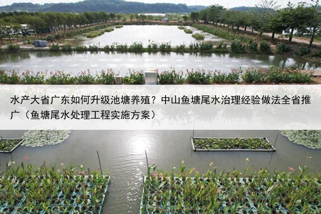 水产大省广东如何升级池塘养殖？中山鱼塘尾水治理经验做法全省推广（鱼塘尾水处理工程实施方案）