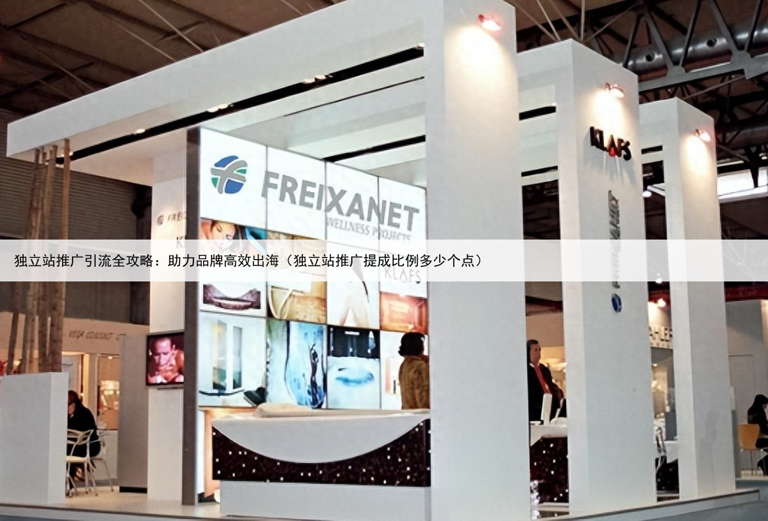 独立站推广引流全攻略：助力品牌高效出海（独立站推广提成比例多少个点）