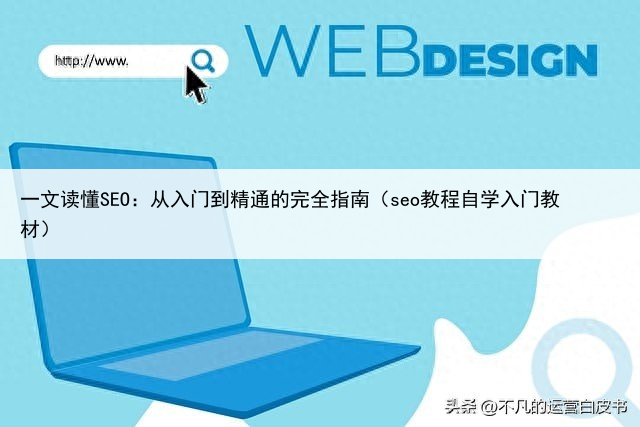 一文读懂SEO：从入门到精通的完全指南（seo教程自学入门教材）