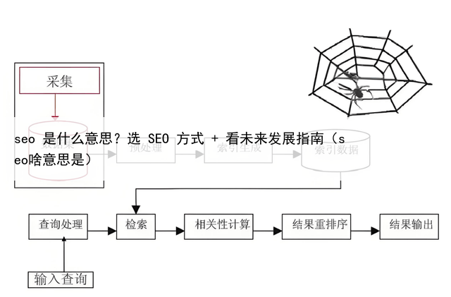 seo 是什么意思？选 SEO 方式 + 看未来发展指南（seo啥意思是）