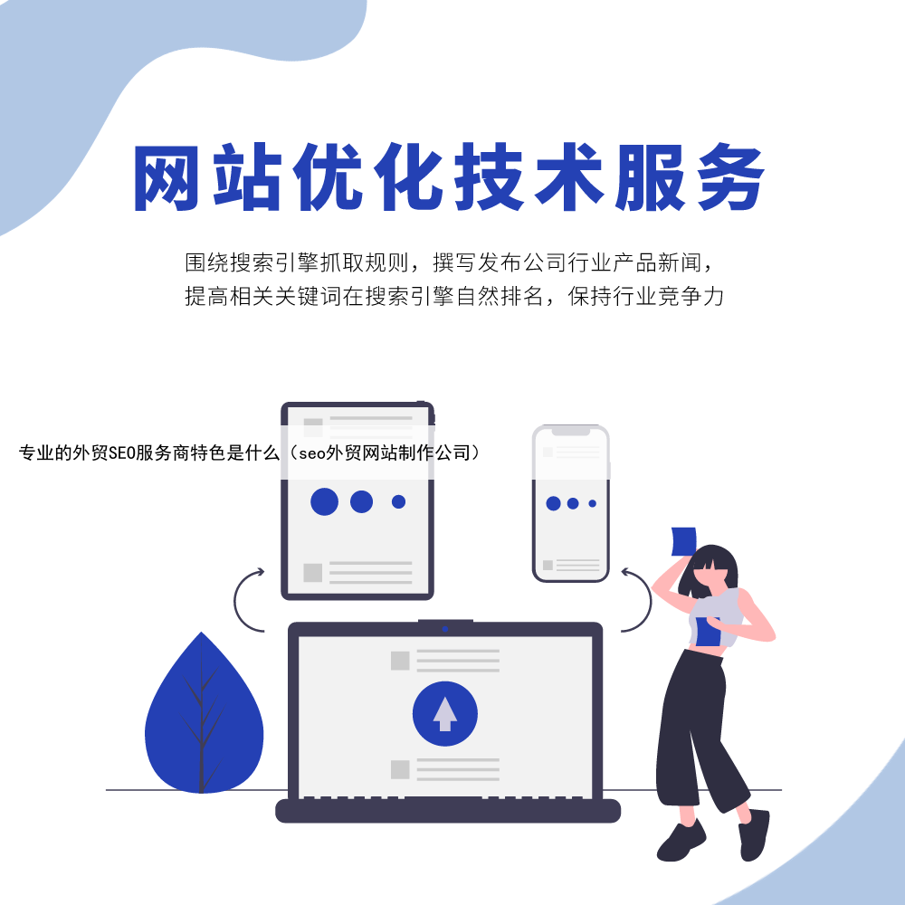 专业的外贸SEO服务商特色是什么（seo外贸网站制作公司）