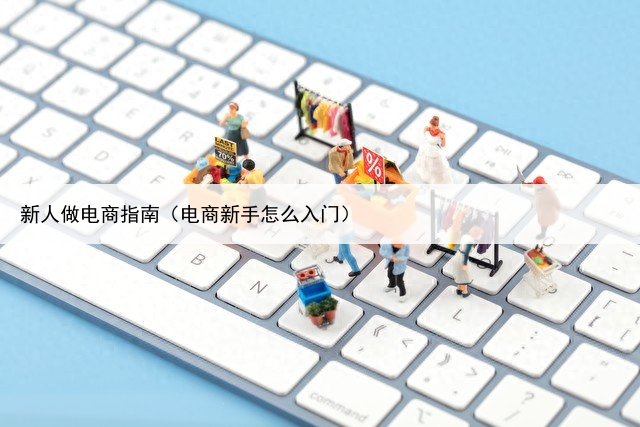新人做电商指南（电商新手怎么入门）