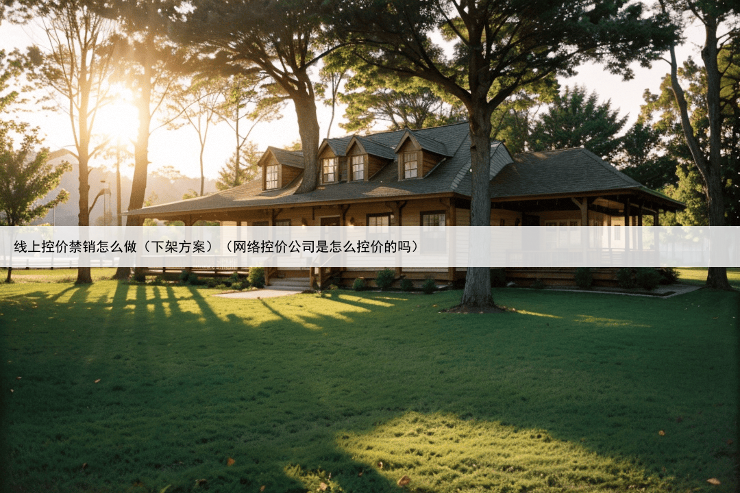 线上控价禁销怎么做（下架方案）（网络控价公司是怎么控价的吗）