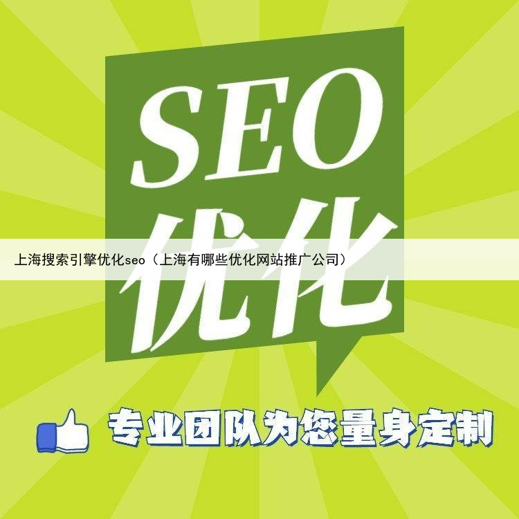 上海搜索引擎优化seo（上海有哪些优化网站推广公司）