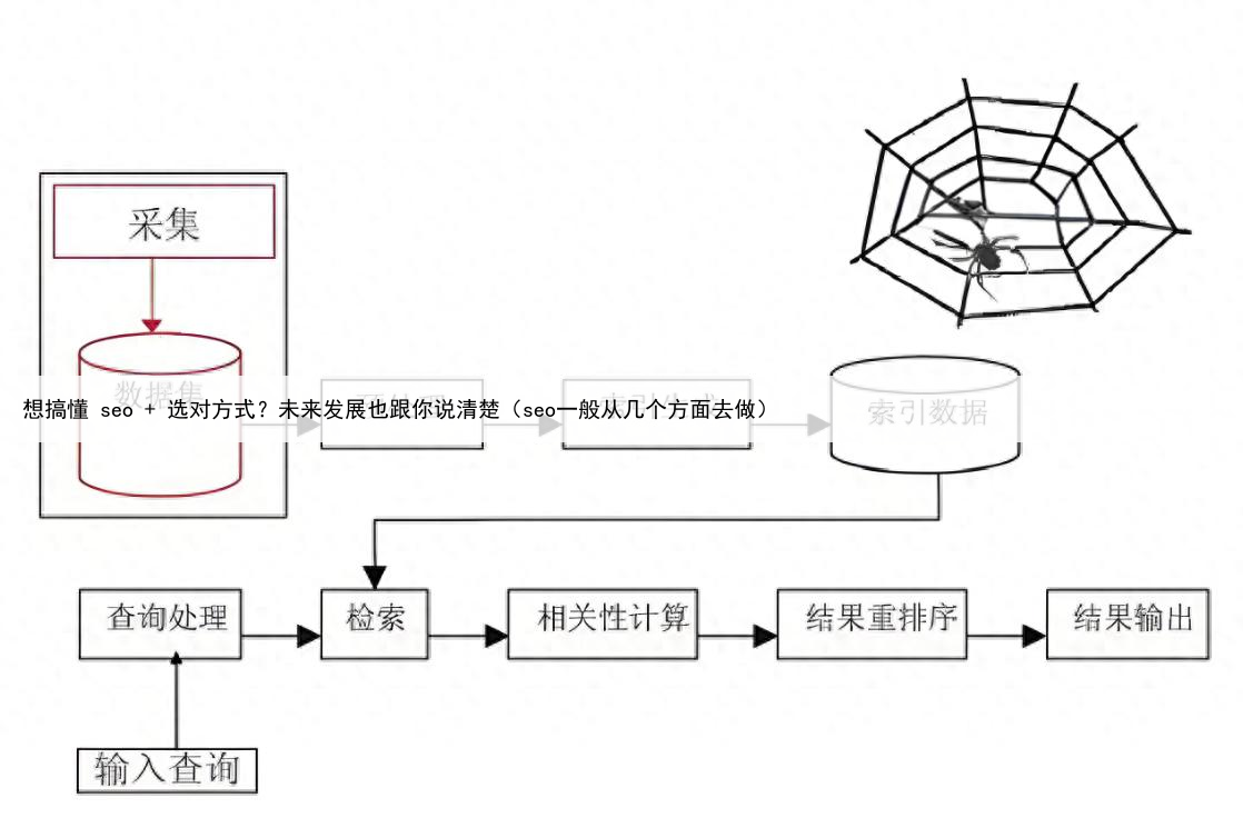 想搞懂 seo + 选对方式?未来发展也跟你说清楚(seo一般从几个方面去做)