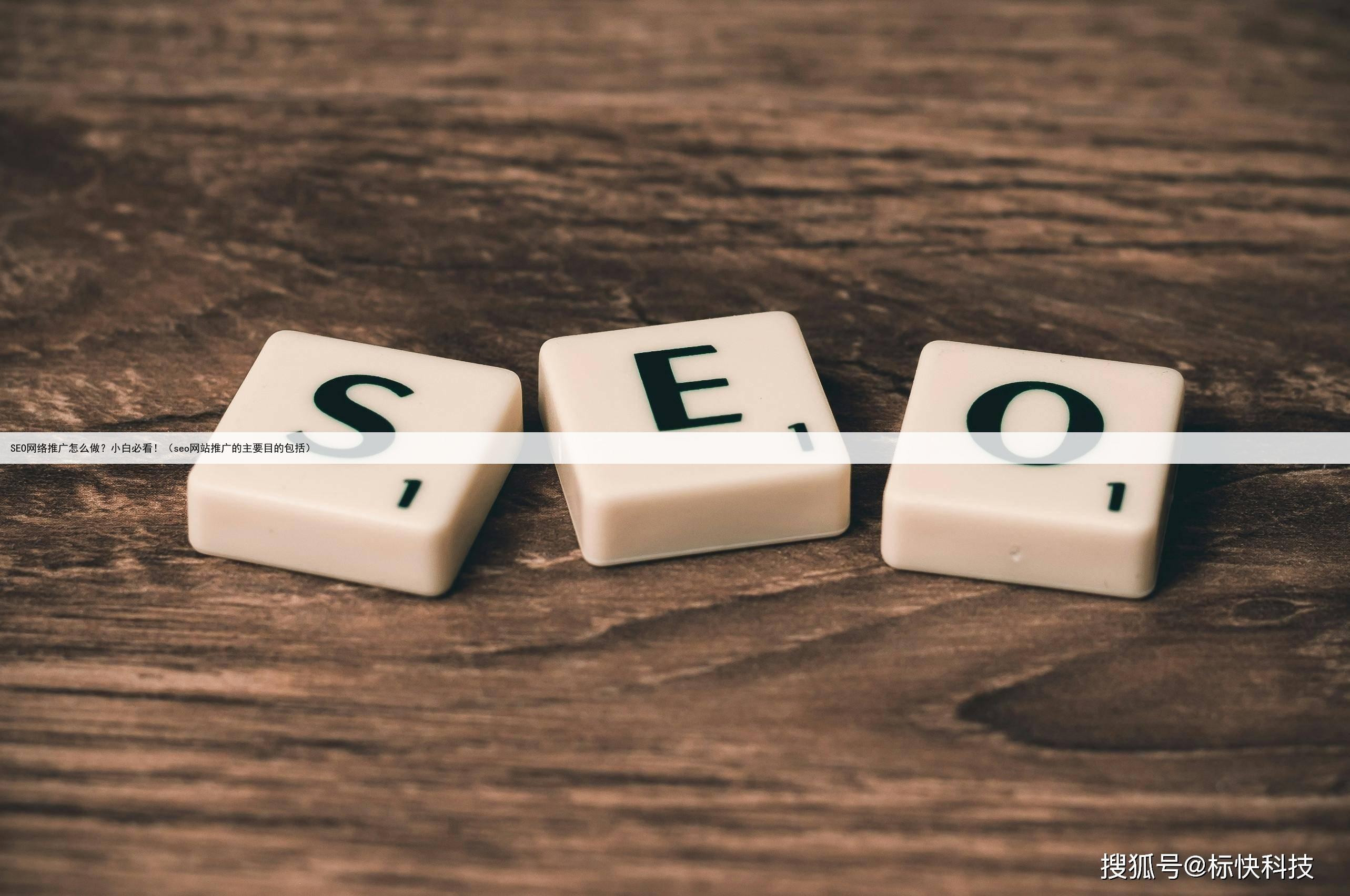 SEO网络推广怎么做？小白必看！（seo网站推广的主要目的包括）