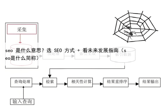 seo 是什么意思？选 SEO 方式 + 看未来发展指南（seo是什么简称）