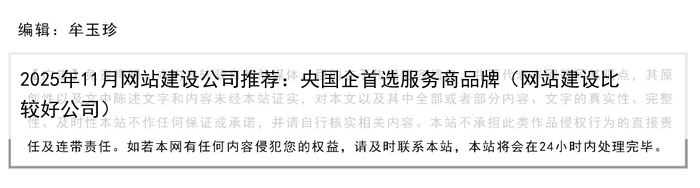 2025年11月网站建设公司推荐：央国企首选服务商品牌（网站建设比较好公司）