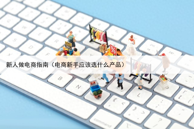 新人做电商指南（电商新手应该选什么产品）