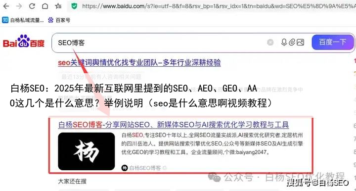 白杨SEO：2025年最新互联网里提到的SEO、AEO、GEO、AAO这几个是什么意思？举例说明（seo是什么意思啊视频教程）