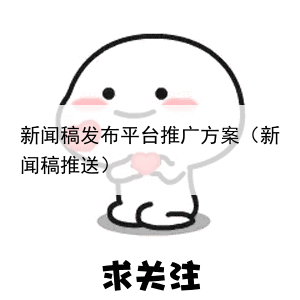 新闻稿发布平台推广方案(新闻稿推送)