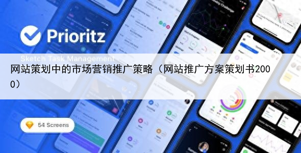 网站策划中的市场营销推广策略（网站推广方案策划书2000）