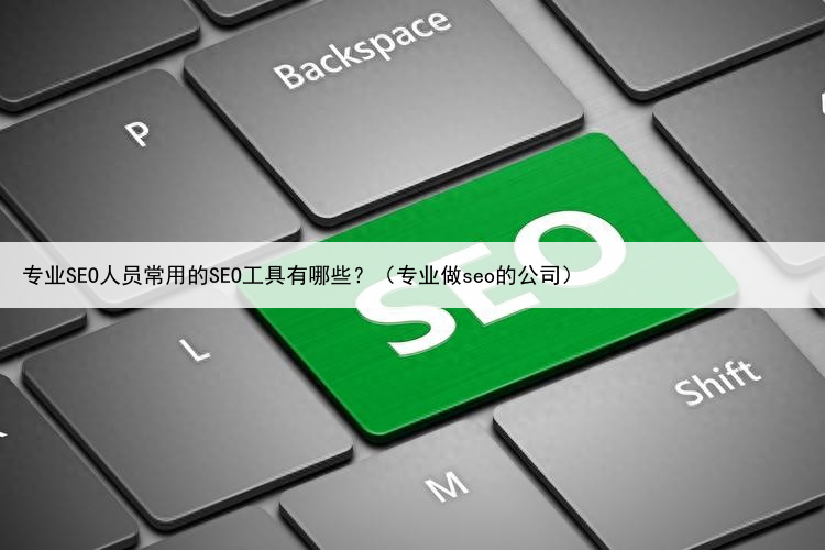 专业SEO人员常用的SEO工具有哪些？（专业做seo的公司）