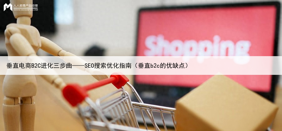 垂直电商B2C进化三步曲——SEO搜索优化指南(垂直b2c的优缺点)