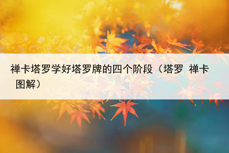 禅卡塔罗学好塔罗牌的四个阶段(塔罗 禅卡 图解)