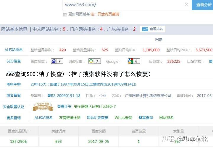 seo查询SEO(桔子快查)(桔子搜索软件没有了怎么恢复)