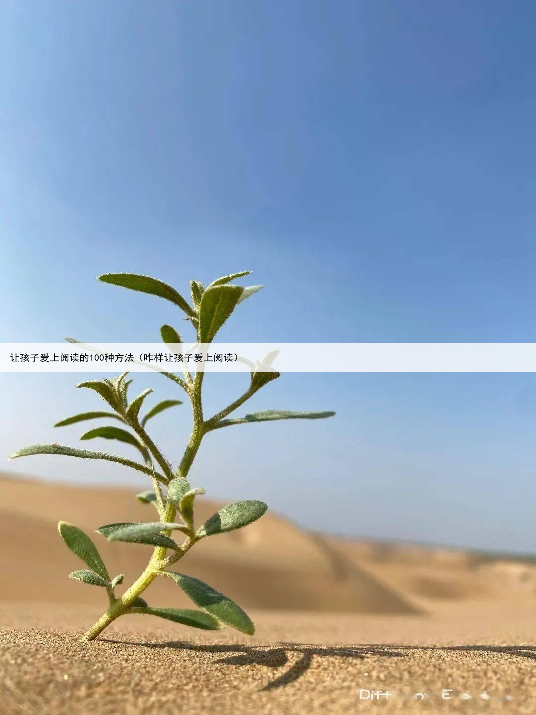 让孩子爱上阅读的100种方法(咋样让孩子爱上阅读)