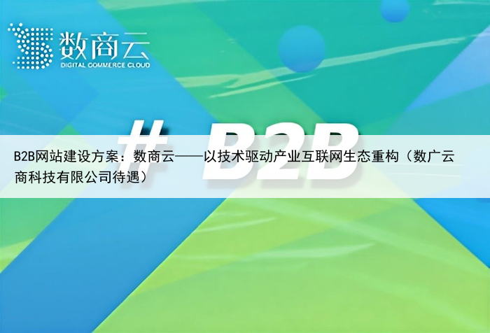 B2B网站建设方案：数商云——以技术驱动产业互联网生态重构（数广云商科技有限公司待遇）