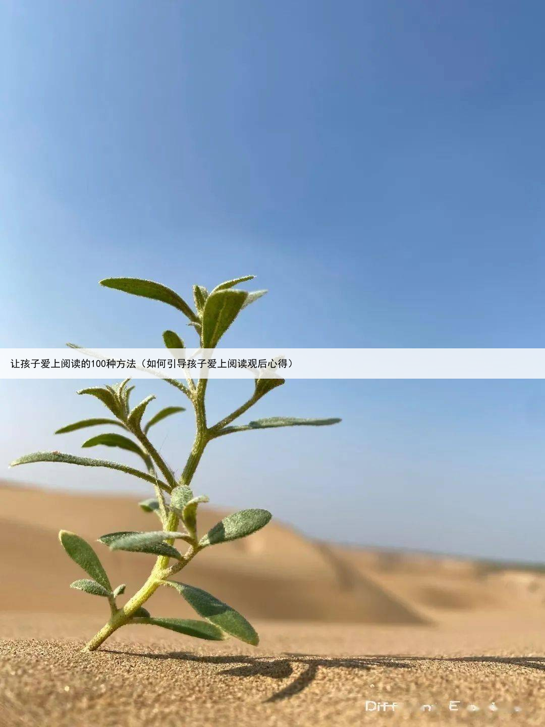 让孩子爱上阅读的100种方法（如何引导孩子爱上阅读观后心得）