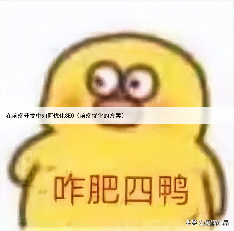 在前端开发中如何优化SEO（前端优化的方案）