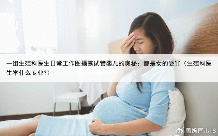 一组生殖科医生日常工作图揭露试管婴儿的奥秘：都是女的受罪（生殖科医生学什么专业?）