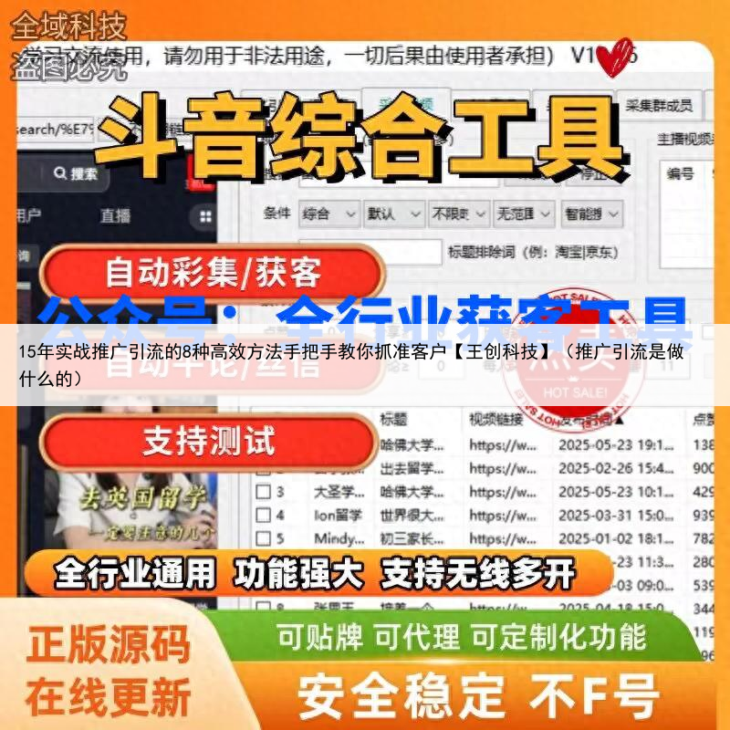 15年实战推广引流的8种高效方法手把手教你抓准客户【王创科技】(推广引流是做什么的)