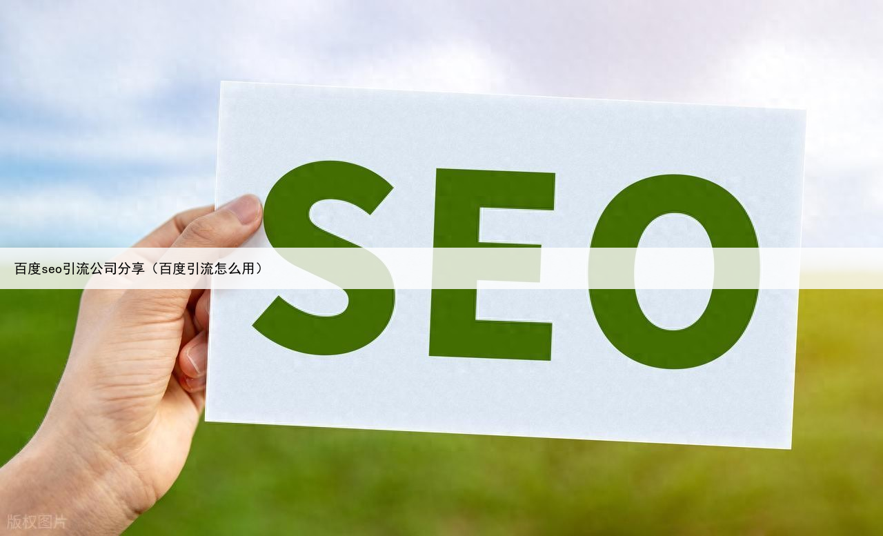 百度seo引流公司分享（百度引流怎么用）