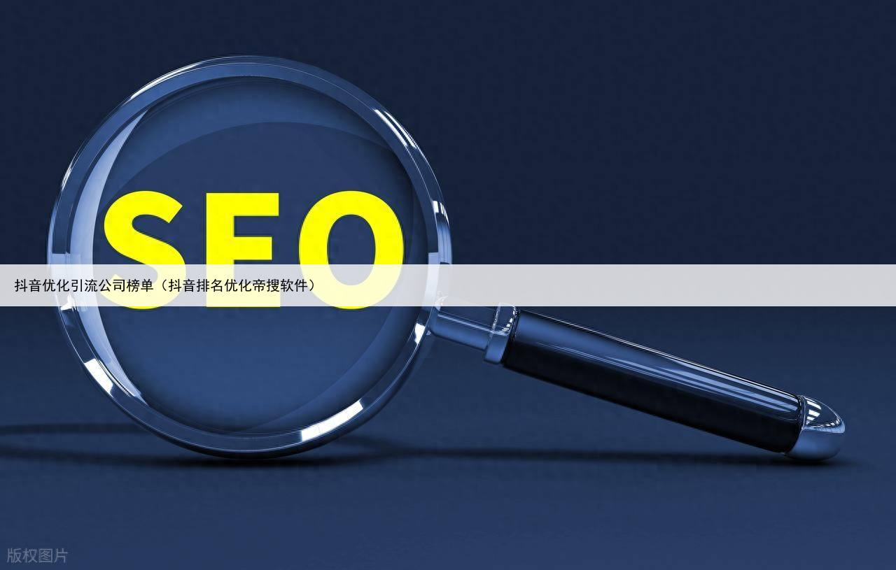 抖音优化引流公司榜单(抖音排名优化帝搜软件)