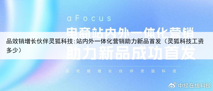 品效销增长伙伴灵狐科技:站内外一体化营销助力新品首发（灵狐科技工资多少）