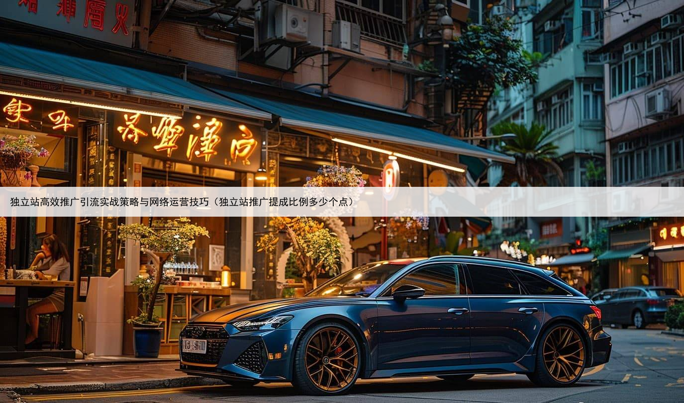 独立站高效推广引流实战策略与网络运营技巧(独立站推广提成比例多少个点)