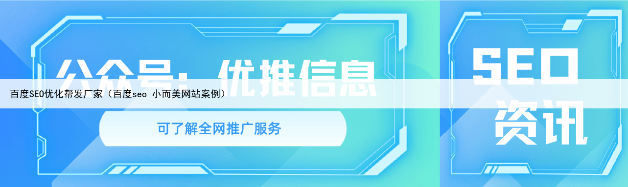 百度SEO优化帮发厂家（百度seo 小而美网站案例）