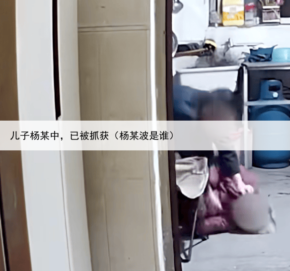 儿子杨某中，已被抓获（杨某波是谁）