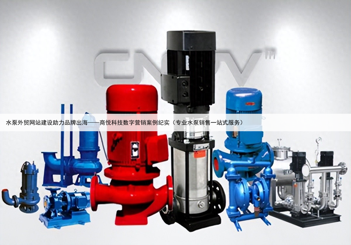 水泵外贸网站建设助力品牌出海——商悦科技数字营销案例纪实(专业水泵销售一站式服务)