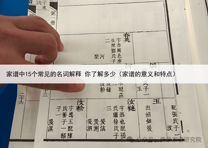 家谱中15个常见的名词解释 你了解多少（家谱的意义和特点）