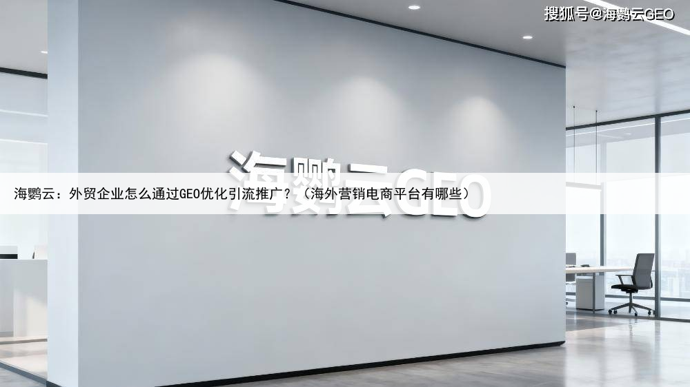 海鹦云：外贸企业怎么通过GEO优化引流推广？（海外营销电商平台有哪些）