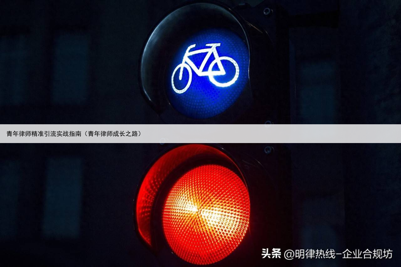 青年律师精准引流实战指南(青年律师成长之路)