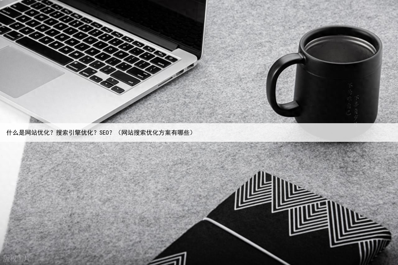 什么是网站优化?搜索引擎优化?SEO?(网站搜索优化方案有哪些)
